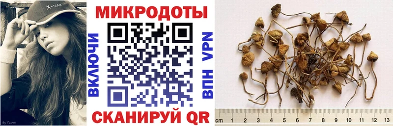Купить закладки  Грязи  Галлюциногенные грибы Magic Shrooms 